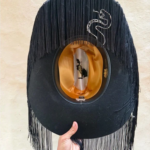Wide Brim Customized Fun Fringe Snake Wool Stetson Hat size 7 1/4 - Picture 4 of 11